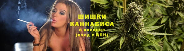 apvp Инта
