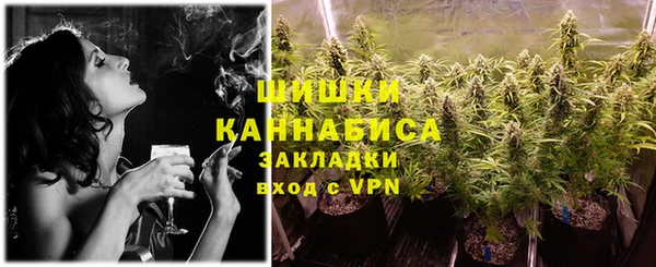 apvp Инта
