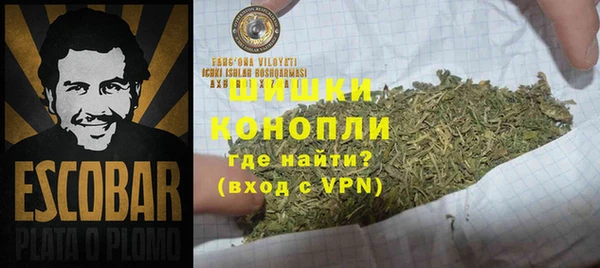 apvp Инта