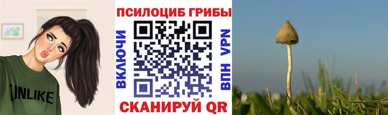 Галлюциногенные грибы GOLDEN TEACHER  закладки  Туран 
